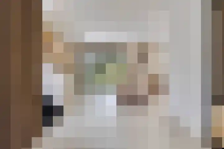 Horatiuslaan 11 Venlo thumbnail 11