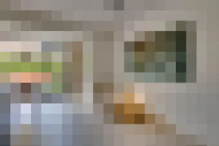 Horatiuslaan 11 Venlo thumbnail 12