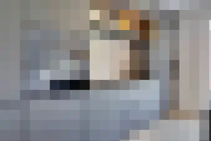 Horatiuslaan 11 Venlo thumbnail 17