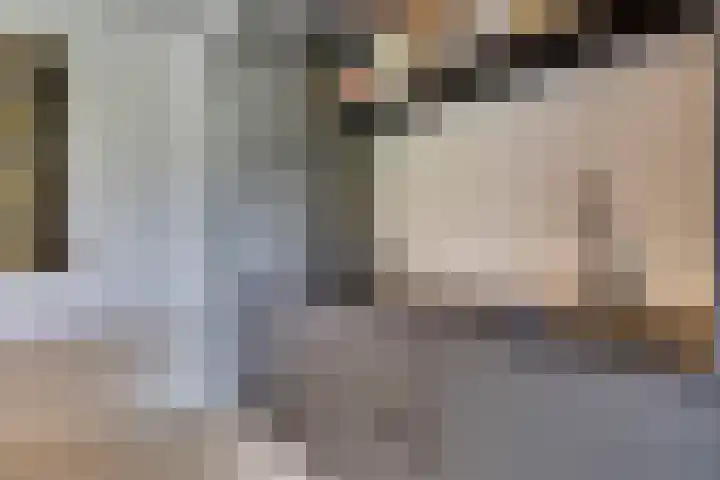 Horatiuslaan 11 Venlo thumbnail 19