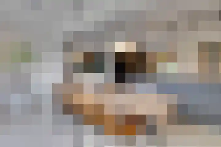 Horatiuslaan 11 Venlo thumbnail 22