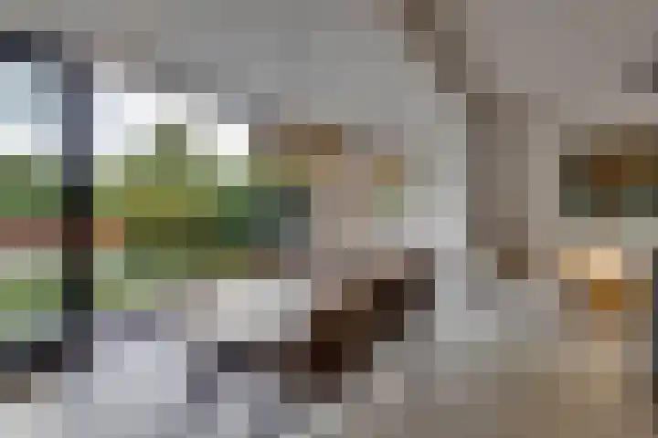 Horatiuslaan 11 Venlo thumbnail 24