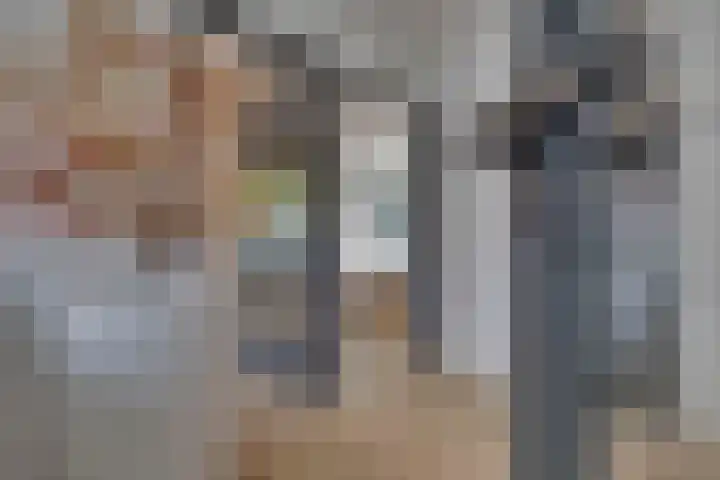 Horatiuslaan 11 Venlo thumbnail 25