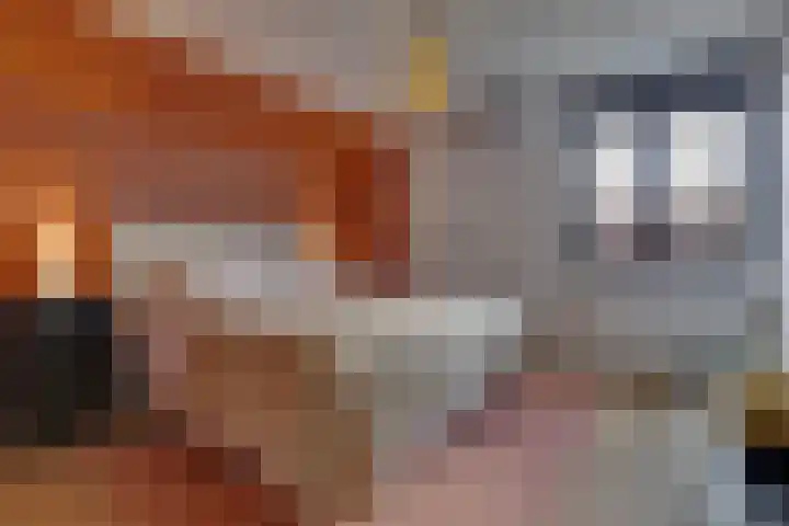 Horatiuslaan 11 Venlo thumbnail 27