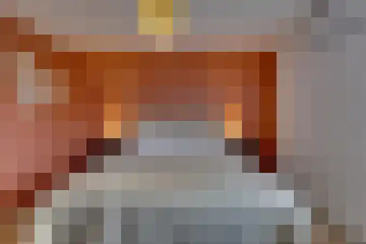 Horatiuslaan 11 Venlo thumbnail 28
