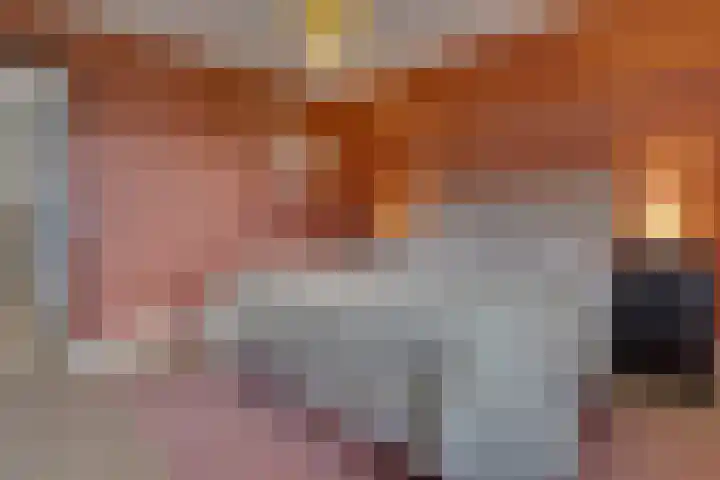 Horatiuslaan 11 Venlo thumbnail 29