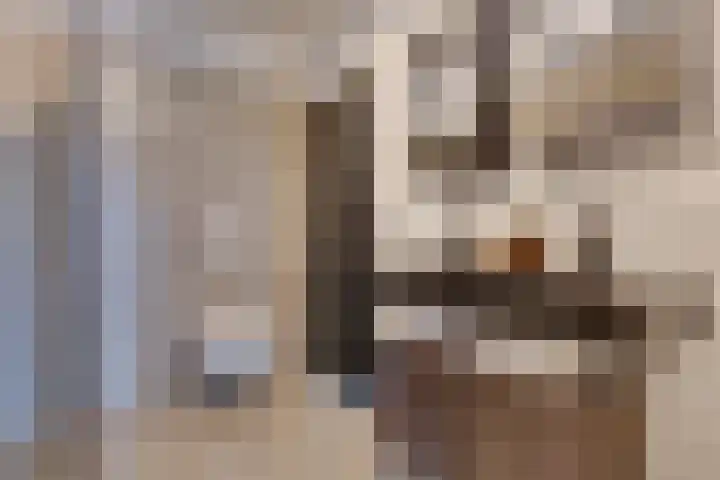 Horatiuslaan 11 Venlo thumbnail 36