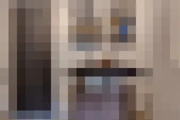 Horatiuslaan 11 Venlo thumbnail 37