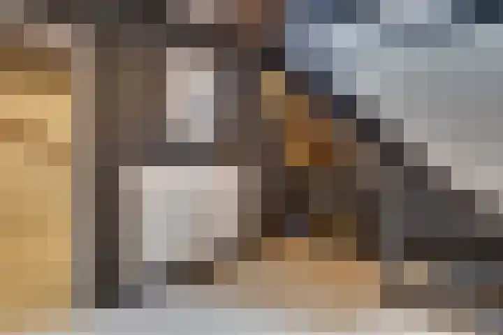 Horatiuslaan 11 Venlo thumbnail 39