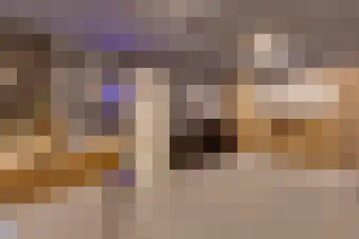 Horatiuslaan 11 Venlo thumbnail 41