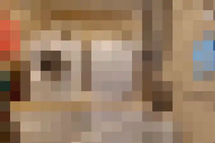 Horatiuslaan 11 Venlo thumbnail 43