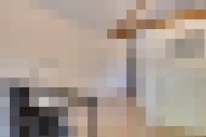 Horatiuslaan 11 Venlo thumbnail 45