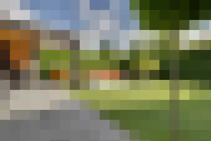 Horatiuslaan 11 Venlo thumbnail 49