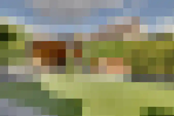 Horatiuslaan 11 Venlo thumbnail 50