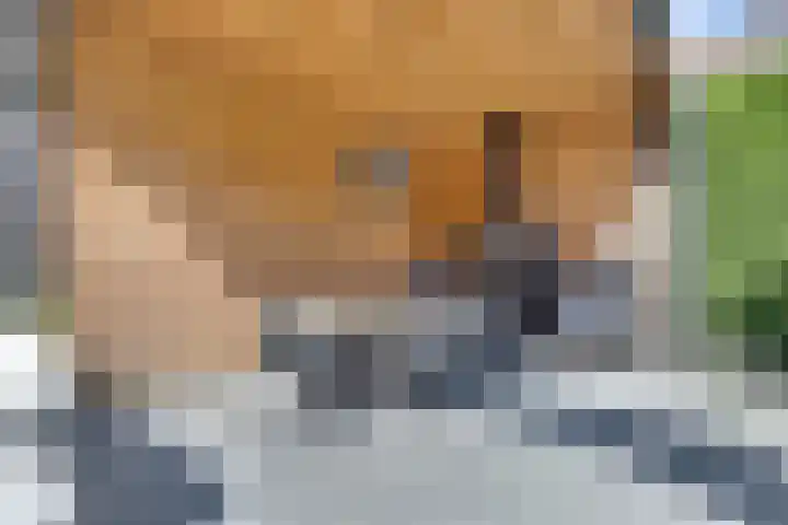 Horatiuslaan 11 Venlo thumbnail 52