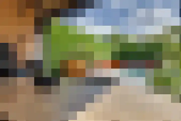 Horatiuslaan 11 Venlo thumbnail 53