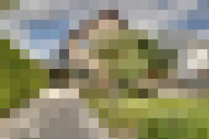 Horatiuslaan 11 Venlo thumbnail 62