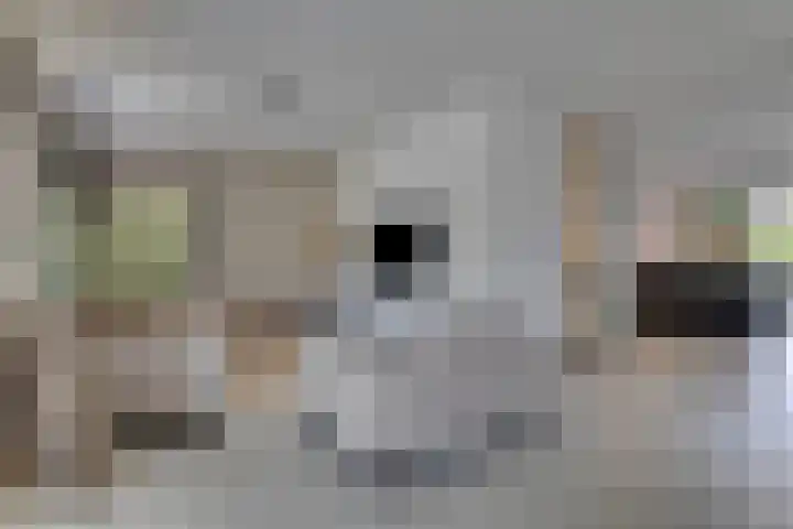 Horatiuslaan 11 Venlo thumbnail 7