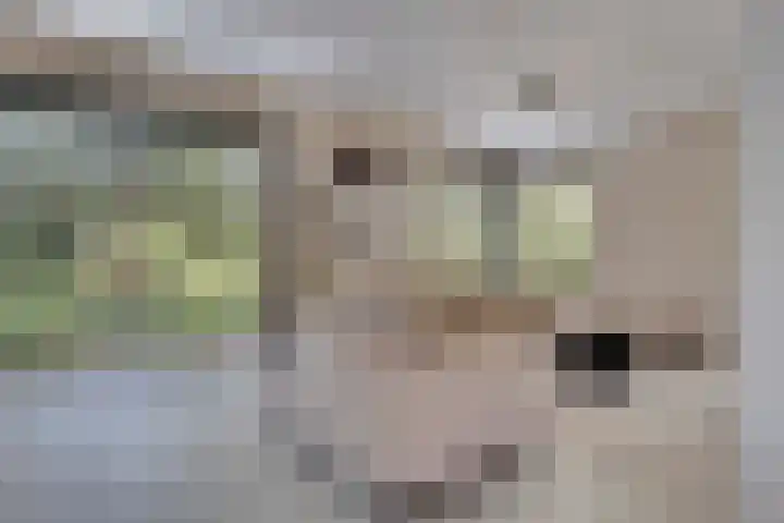 Horatiuslaan 11 Venlo thumbnail 9