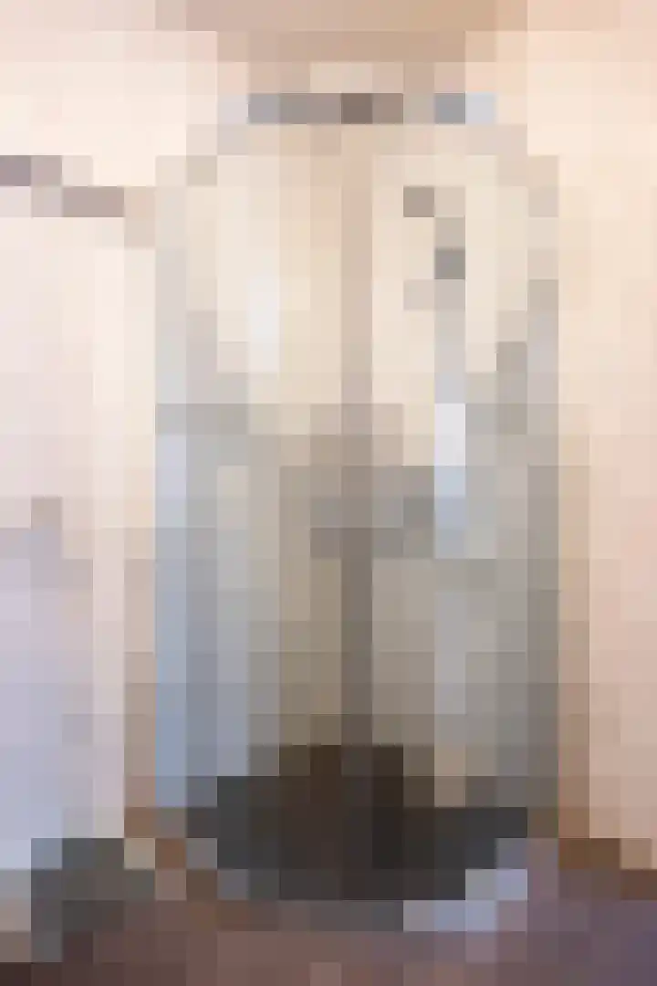Horatiuslaan 3 Sittard thumbnail 24