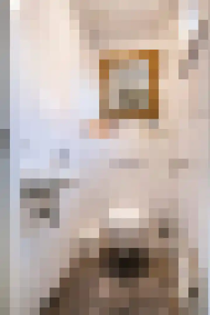 Horatiuslaan 3 Sittard thumbnail 26