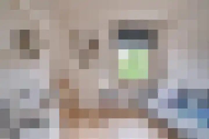 Horatiuslaan 5 Venlo thumbnail 31