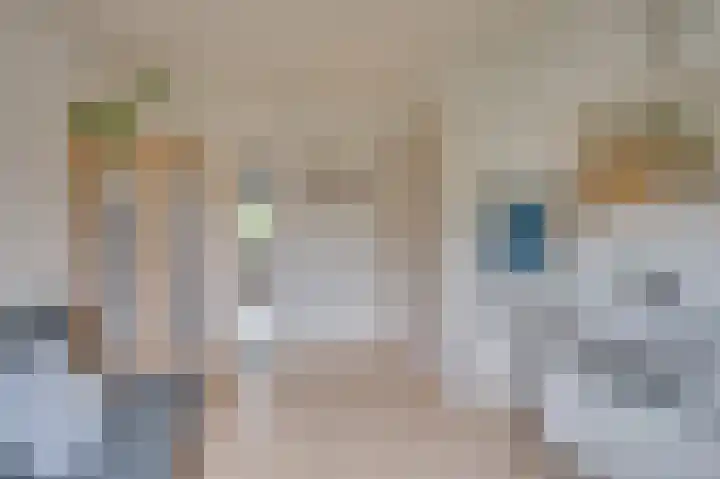 Horatiuslaan 5 Venlo thumbnail 32