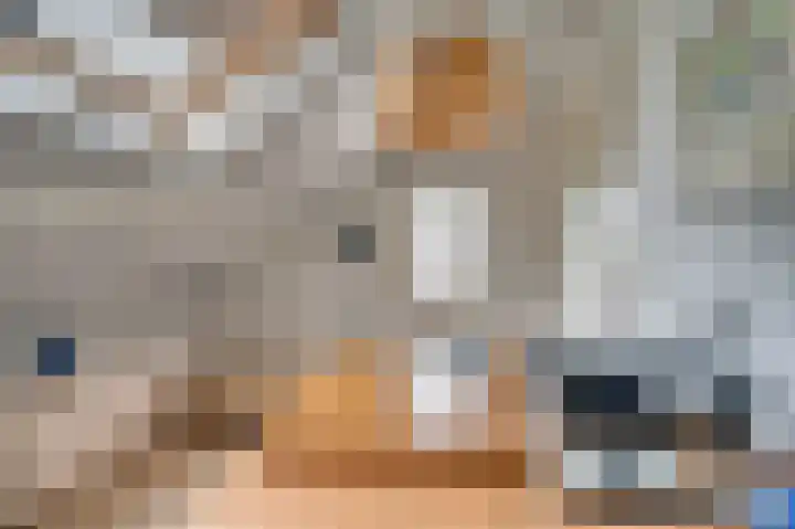 Horatiuslaan 5 Venlo thumbnail 34