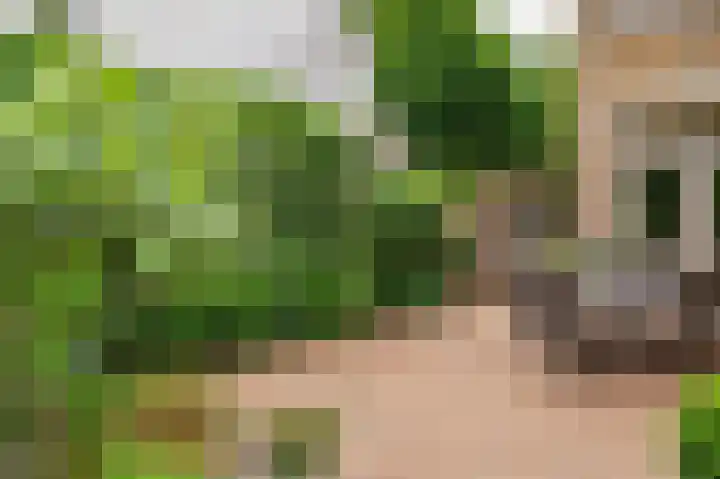 Horatiuslaan 5 Venlo thumbnail 43