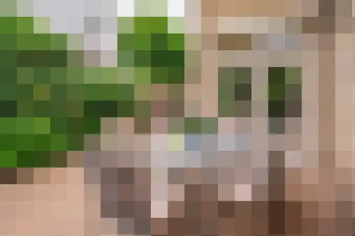 Horatiuslaan 5 Venlo thumbnail 44