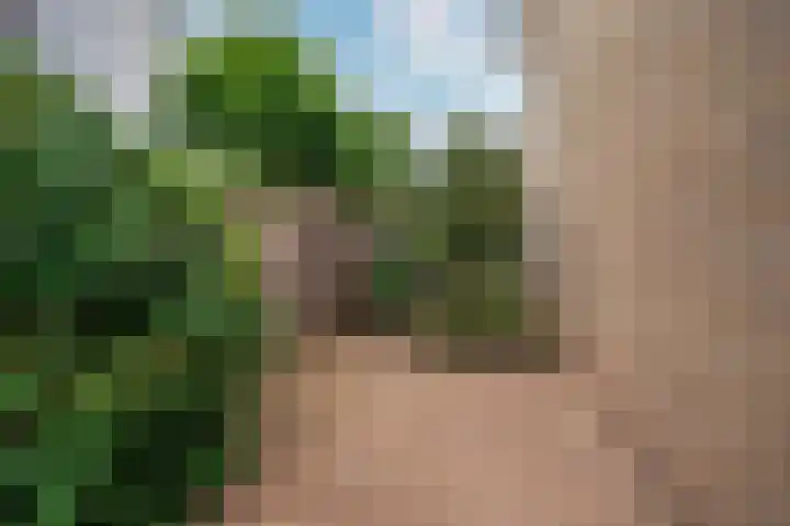 Horatiuslaan 5 Venlo thumbnail 45