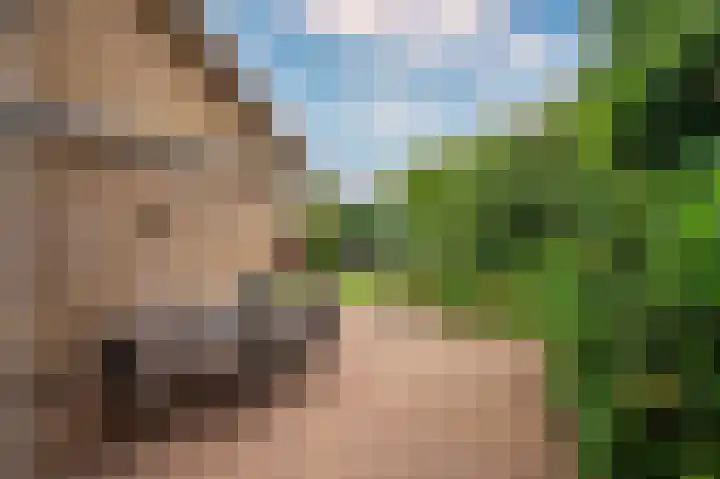 Horatiuslaan 5 Venlo thumbnail 46