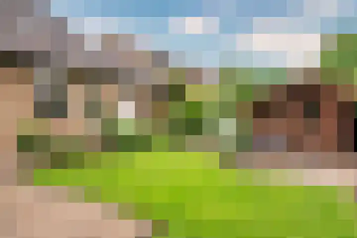 Horatiuslaan 5 Venlo thumbnail 48