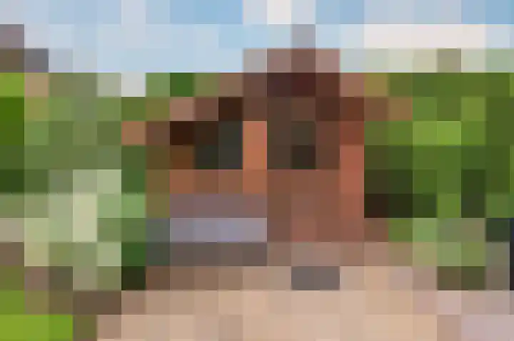 Horatiuslaan 5 Venlo thumbnail 49