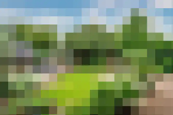 Horatiuslaan 5 Venlo thumbnail 50