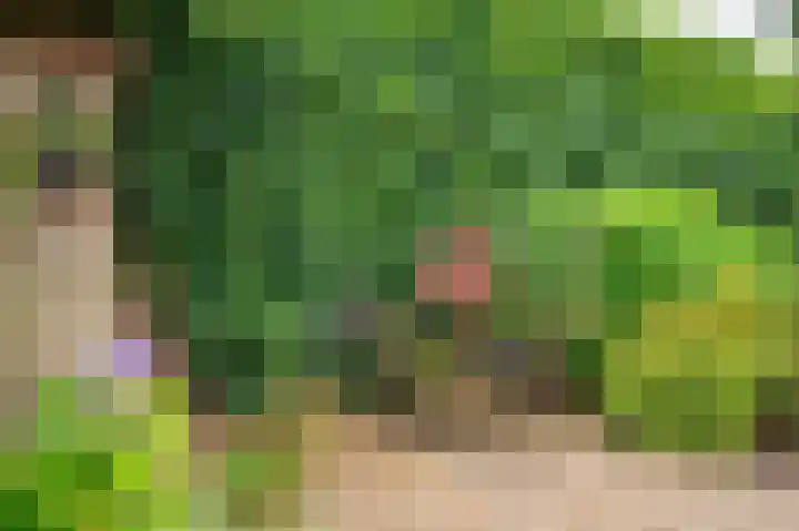 Horatiuslaan 5 Venlo thumbnail 57