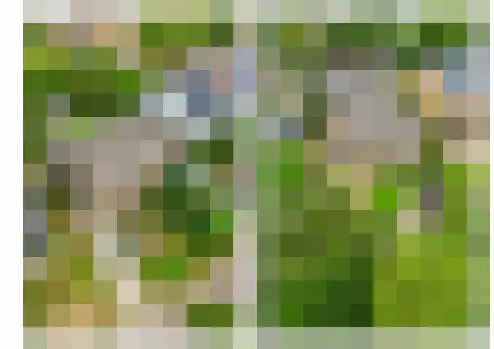Horatiuslaan 5 Venlo thumbnail 60