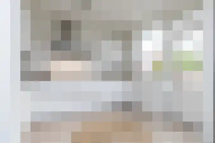 Horatiusstraat 12 Heerlen thumbnail 14