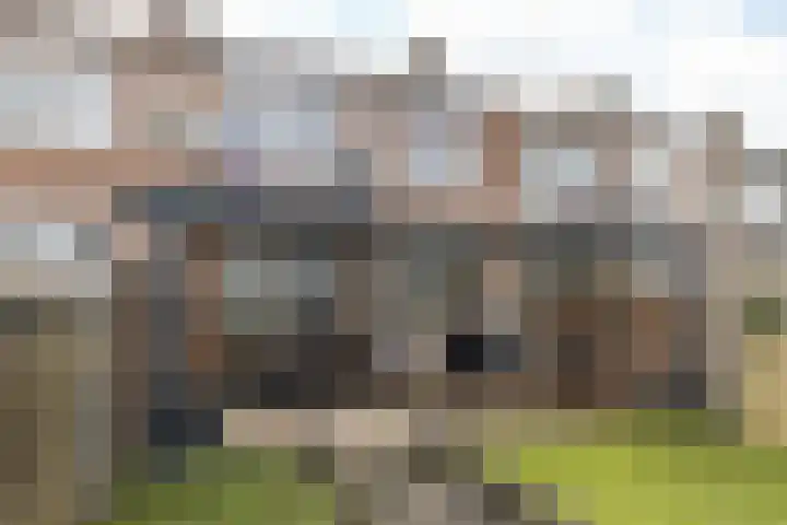 Horatiusstraat 12 Heerlen thumbnail 26