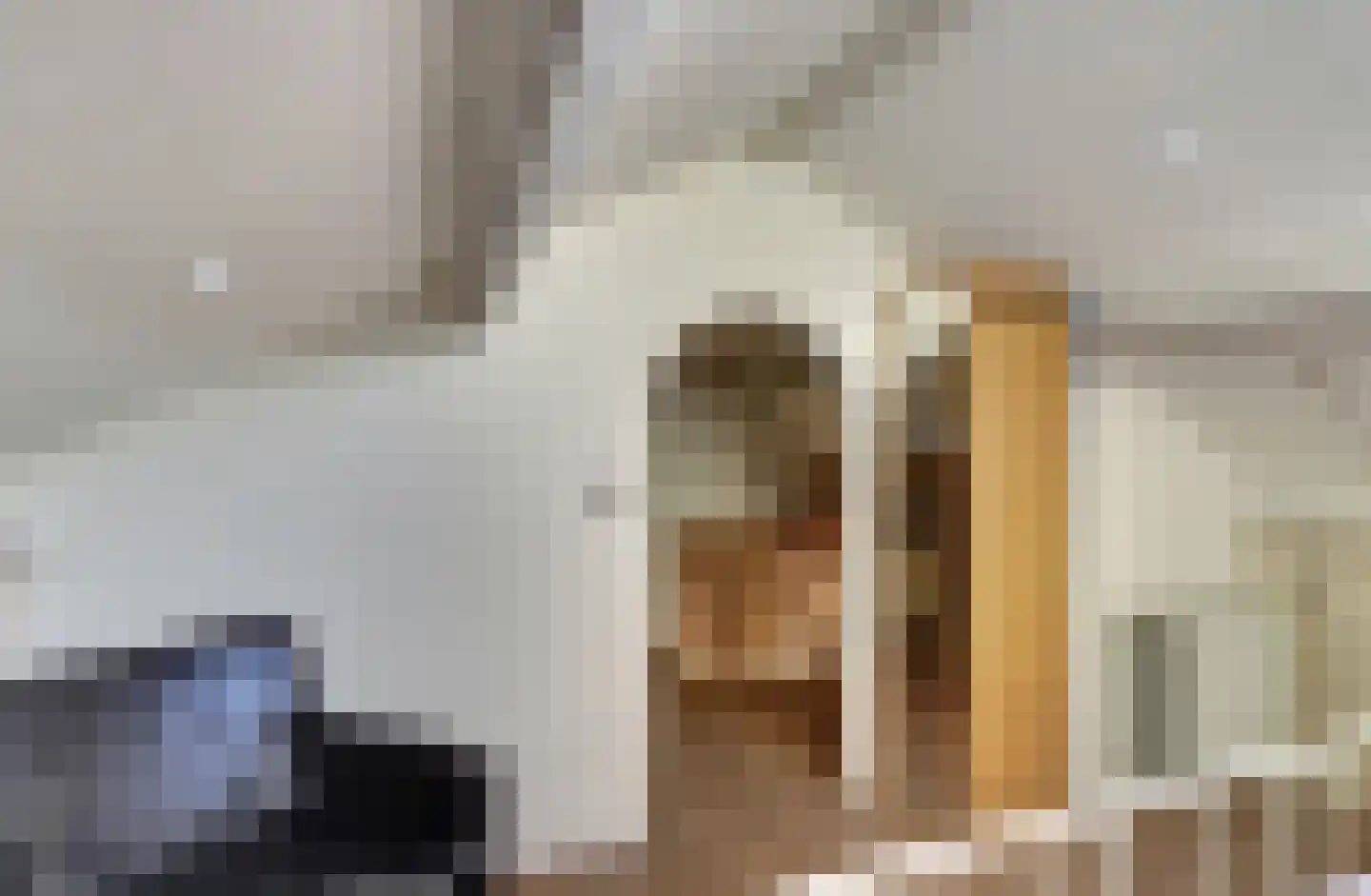 Horatiusstraat 16 Heerlen thumbnail 32