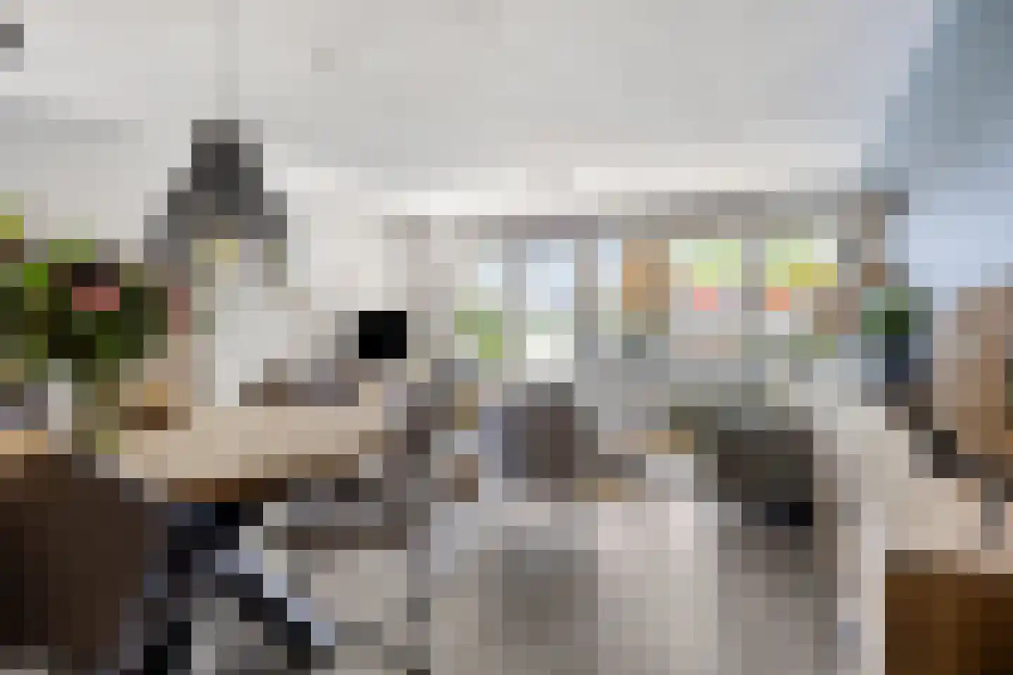 Horatiusstraat 20 Rotterdam thumbnail 17