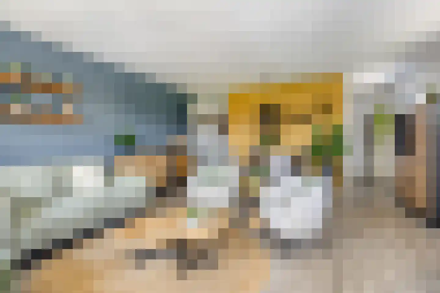 Horatiusstraat 20 Rotterdam thumbnail 20