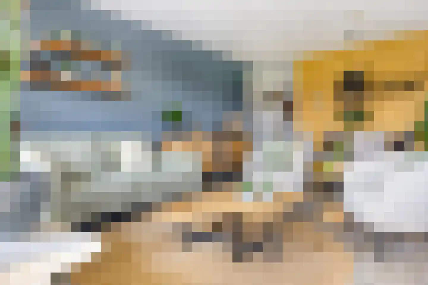 Horatiusstraat 20 Rotterdam thumbnail 21