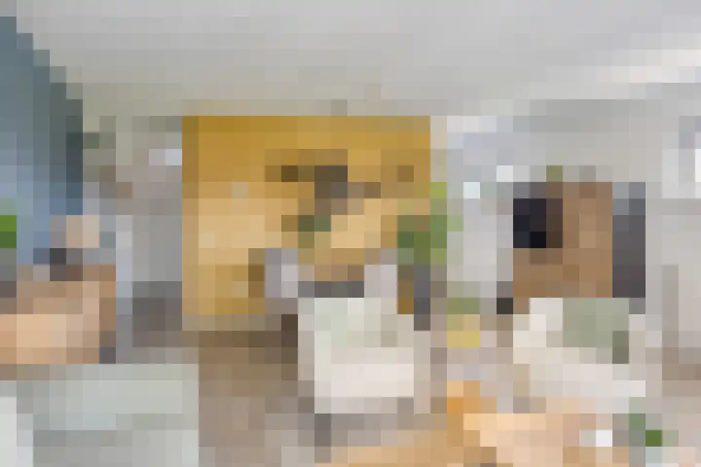 Horatiusstraat 20 Rotterdam thumbnail 22