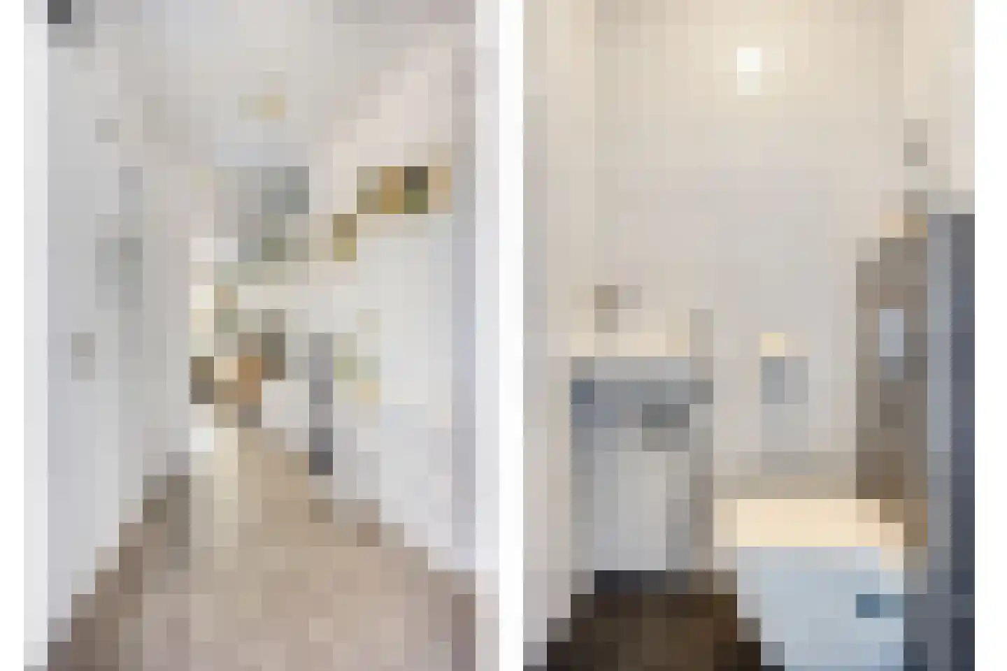 Horatiusstraat 20 Rotterdam thumbnail 8