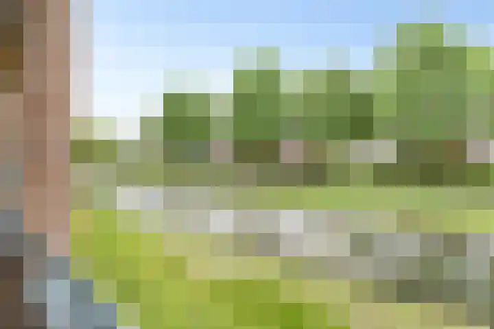 Horatiusstraat 24 Rotterdam thumbnail 10