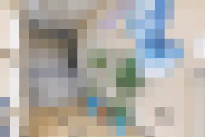 Horatiusstraat 24 Rotterdam thumbnail 22