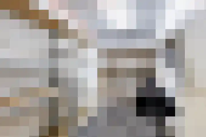 Horatiusstraat 24 Rotterdam thumbnail 23