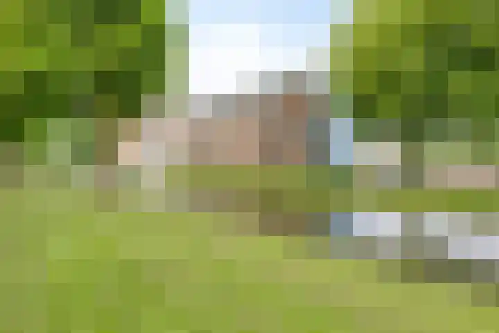 Horatiusstraat 24 Rotterdam thumbnail 26