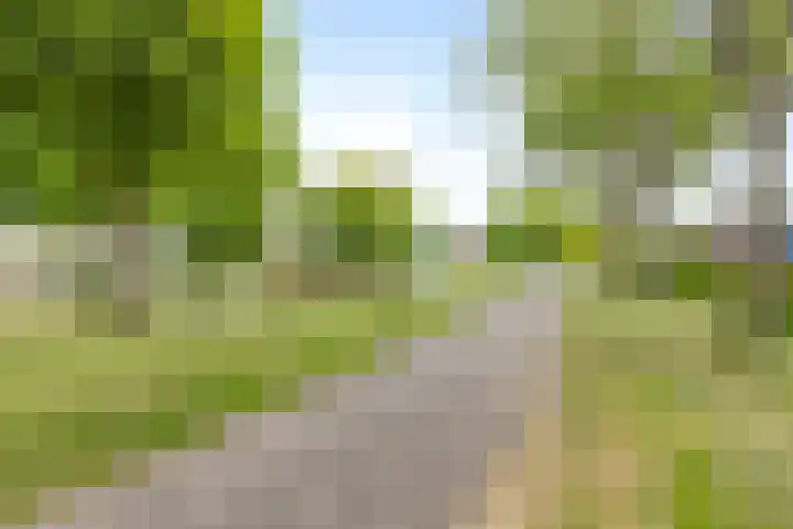 Horatiusstraat 24 Rotterdam thumbnail 27